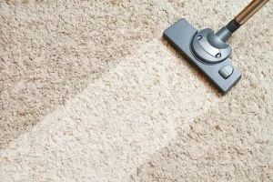 Professional Carpet Cleaning