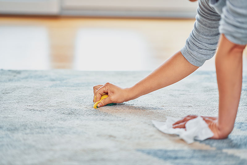  - ABCS Carpet Cleaning Services in PA -  - ABCS Carpet Cleaning PA: Premier Service in Chalfont - ABCS Carpet Cleaning Services in PA -  - ABCS Carpet Cleaning PA: Premier Service in Chalfont