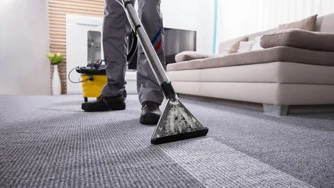 Professional Carpet Cleaning