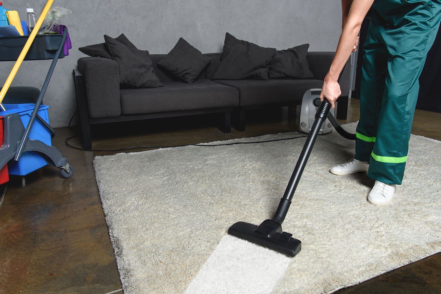 abcs carpet cleaning carpet cleaning chalfont