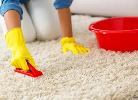 Regular Carpet Cleaning