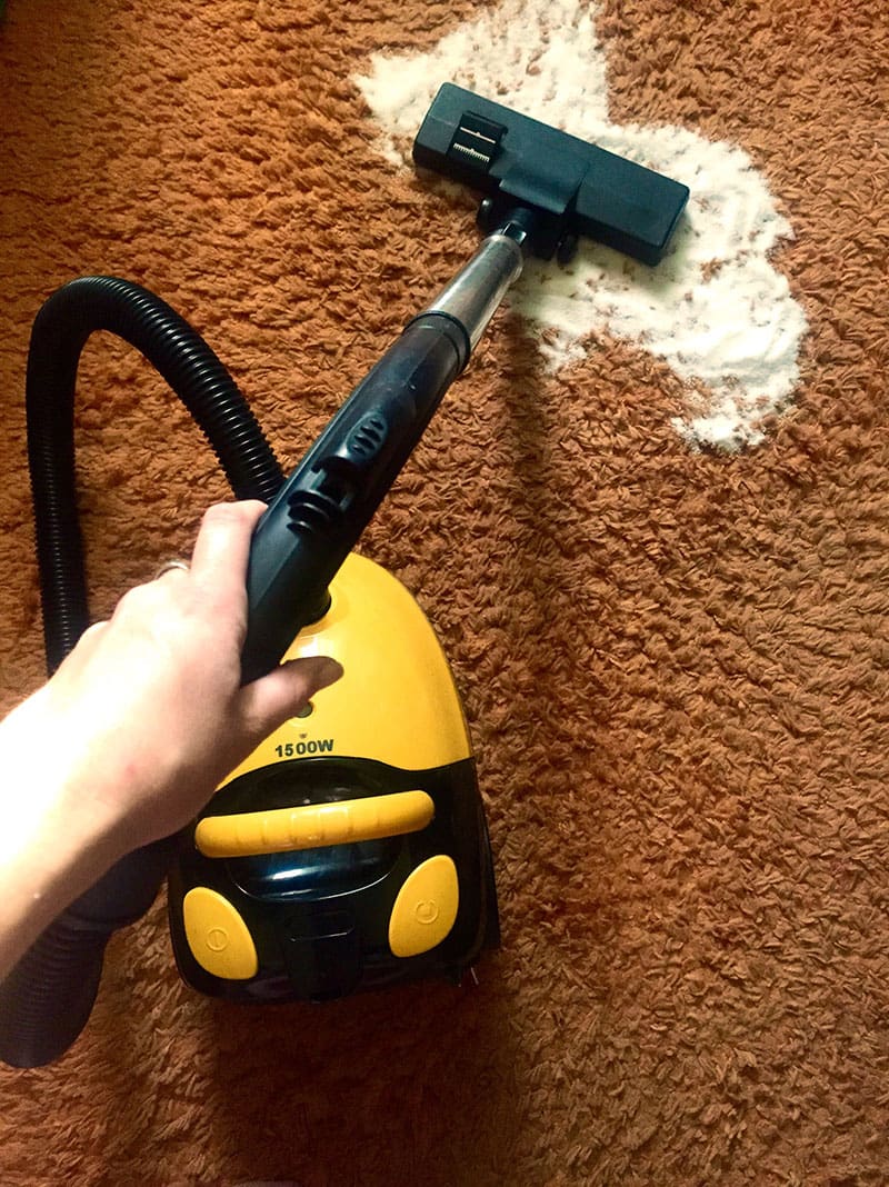 Best Carpet Cleaning Tips for Busy Families