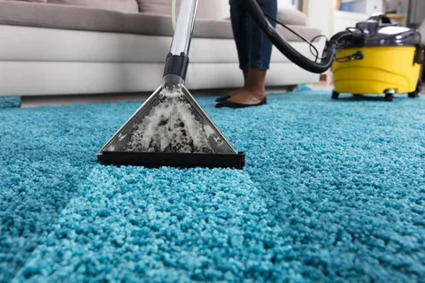 Professional Carpet Cleaning Montgomery and Beyond