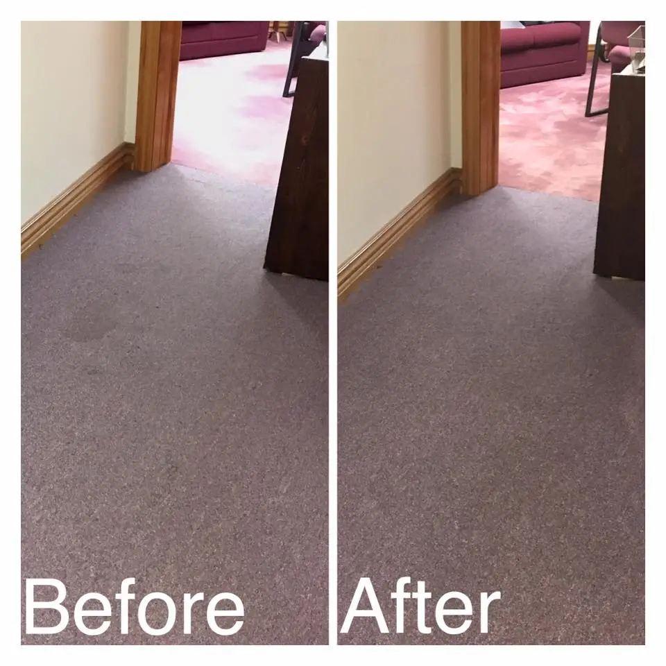 Professional Carpet Cleaning for Allergies in Bucks County, PA